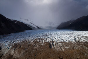 Langue patagonienne