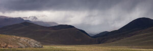Savane bolivienne