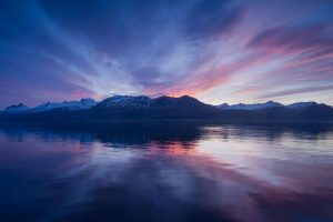 Purple East fjord
