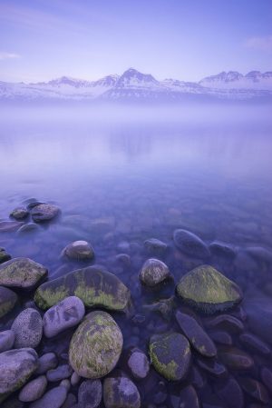 Serenity