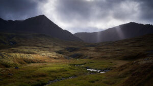 Icelandic spot