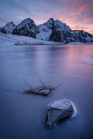 Tentacules de glace