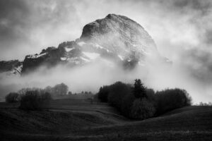 Emergence