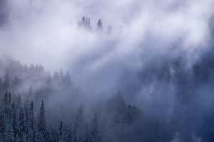Une histoire de bleu