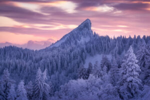 Dent blanche