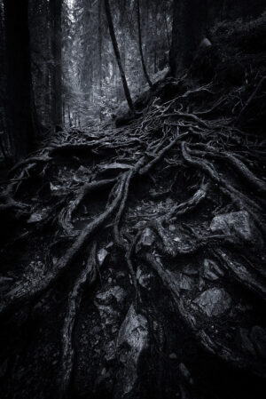 Death way