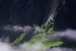 The last greenery