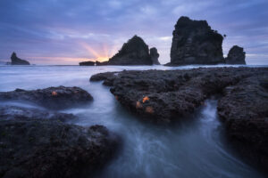 Starfish beach