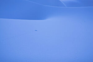 Blue lines