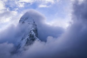 Le monstre des Andes